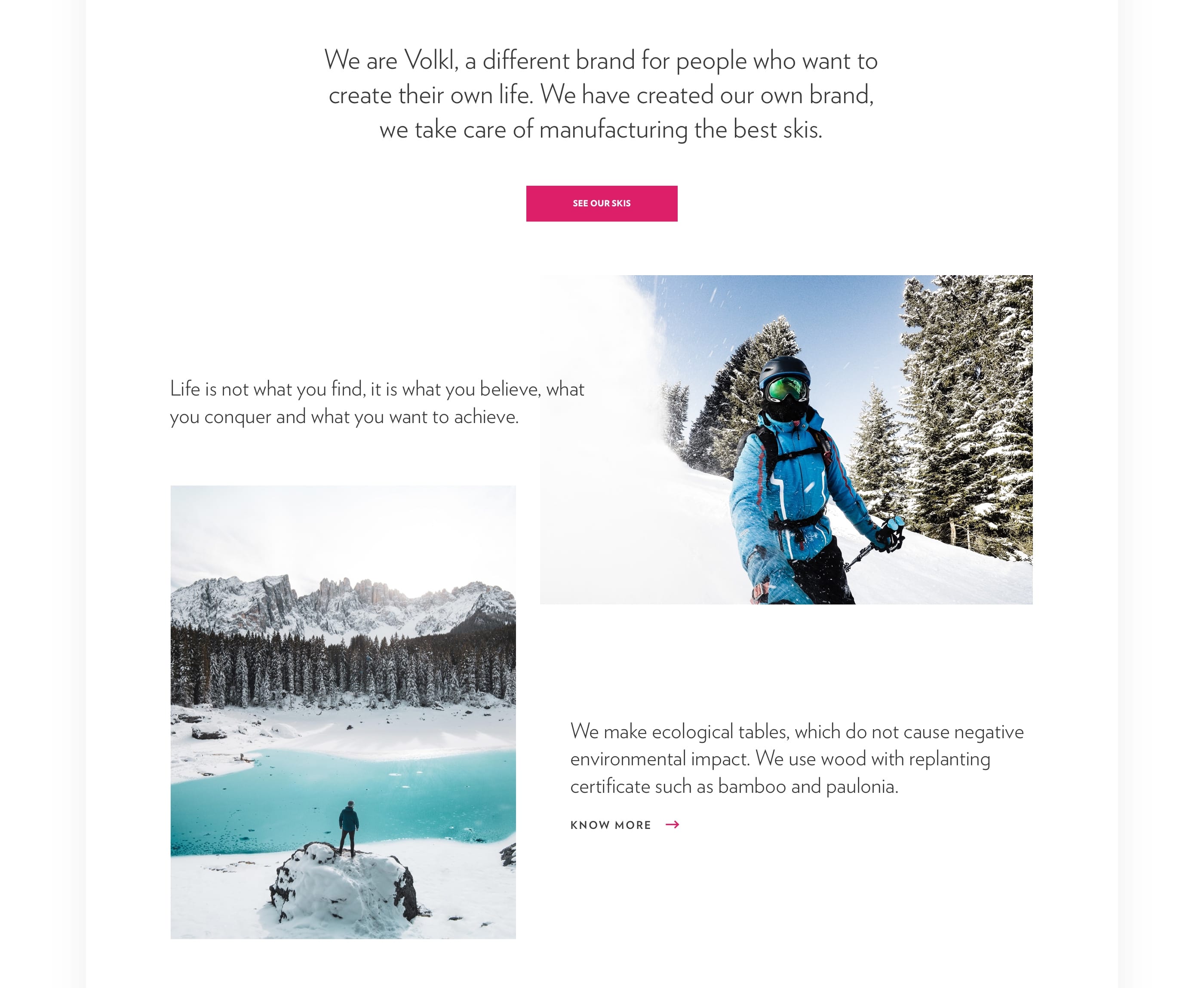 Volkl Website redesign concept